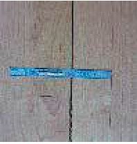 Some Common Wood Floor Problems