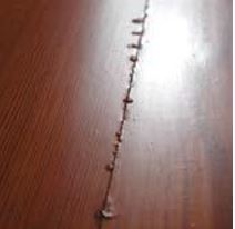 Some Common Wood Floor Problems